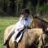 Foxhunting in Deer Season